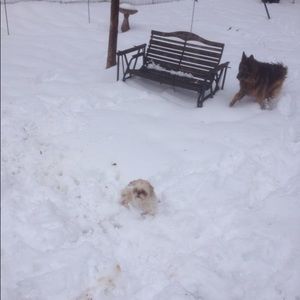 Meet your Posher, Melba